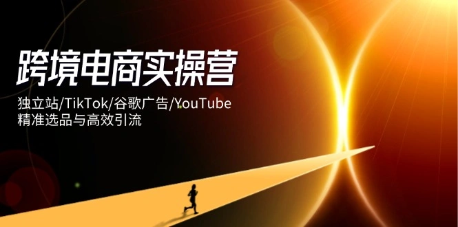 跨境电商实操营：独立站/TikTok/谷歌广告/YouTube，精准选品与高效引流 - 福利组