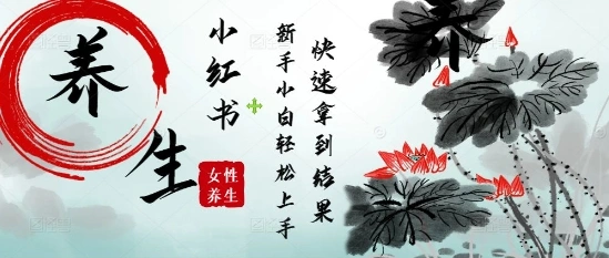疯狂火爆，用Deepseek小红书平台的女性古声古韵养生爆款，小白轻松制作，快速拿到结果 - 福利组