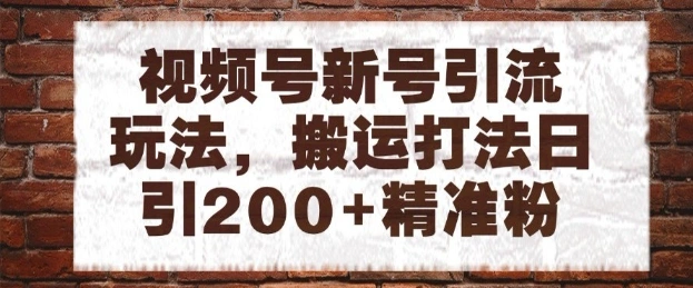 视频号新号引流玩法，搬运打法日引200+精准粉，可矩阵放大【揭秘】 - 福利组