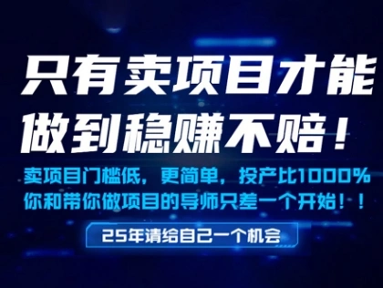 只有卖项目才能做到稳挣不赔，门槛低，更简单，你也可以年入百个W【揭秘】 - 福利组