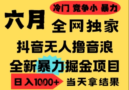 25年6月高爆抖音无人直播最新撸音浪掘金项目，小白可做，无脑日入1k+，门槛低可批量矩阵【揭秘】 - 福利组