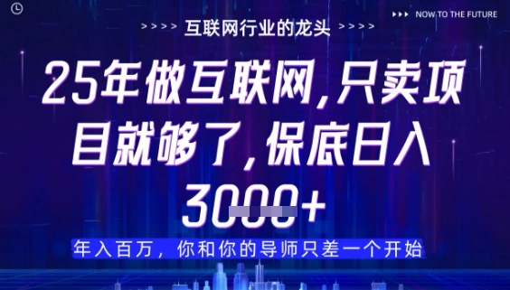 什么！25年你还在找项目做？风口早就变了，卖项目才是稳挣不赔【揭秘】- 福利组