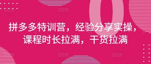 拼多多特训营，经验分享实操，课程时长拉满，干货拉满(更新25年4月) - 福利组