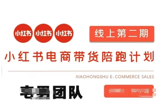 小红书电商带货课2期，月利润20个的小红书电商的有货源，无货源，虚拟产品，付费投流等整套玩法 - 福利组