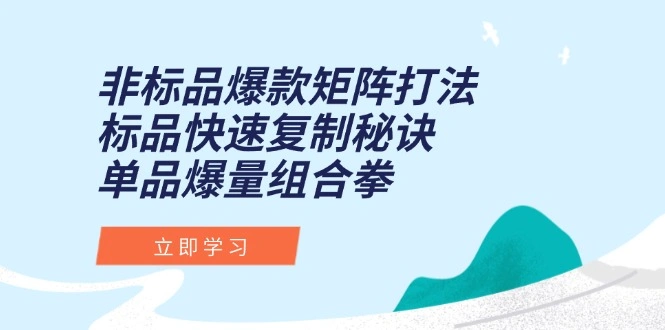 非标品爆款矩阵打法，标品快速复制秘诀，单品爆量组合拳 - 福利组
