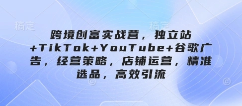 跨境创富实战营，独立站+TikTok+YouTube+谷歌广告，经营策略，店铺运营，精准选品，高效引流 - 福利组