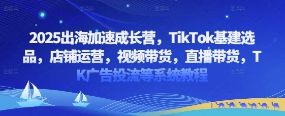 2025出海加速成长营，TikTok基建选品，店铺运营，视频带货，直播带货，TK广告投流等系统教程- 福利组