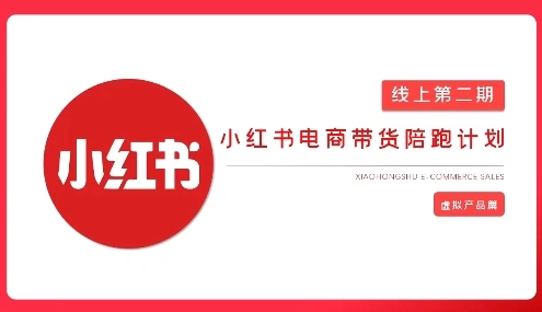 2025小红书虚拟电商实战课，从0到1打造无货源店铺，AI+爆款笔记轻松变现 - 福利组