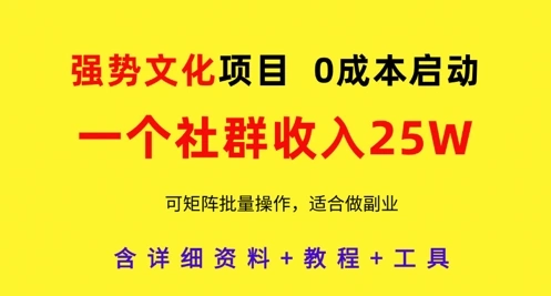 强势文化项目，一个社群收入25个W，0成本启动，可矩阵批量操作，原创详细实操教程 - 福利组