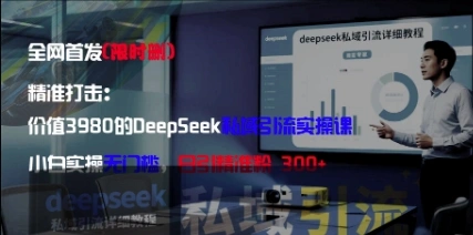 精准打击：价值3980的DeepSeek私域引流实操课，小白实操无门槛，日引精准粉300+ - 福利组