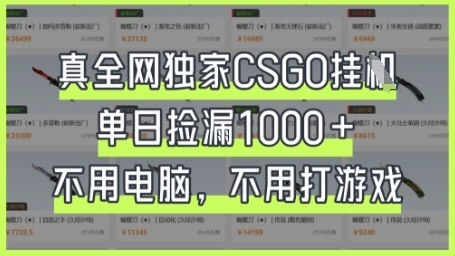 真全网独家CSGO挂G，单日捡漏1k+【揭秘】 - 福利组