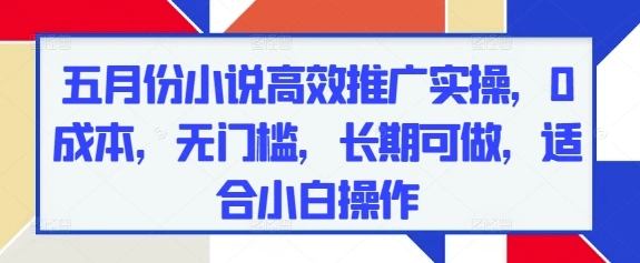 五月份小说高效推广实操，0成本，无门槛，长期可做，适合小白操作 - 福利组