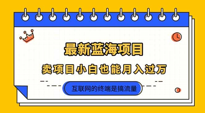 2025年最新蓝海项目，卖项目小白也能月入过万 - 福利组