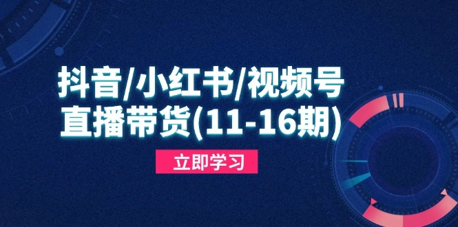 抖音/小红书/视频号/直播带货(11-16期- 福利组