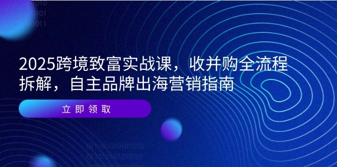 2025跨境致富实战课，收并购全流程拆解，自主品牌出海营销指南 - 福利组