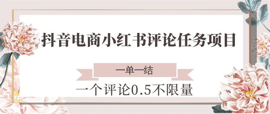 抖音电商小红书评论任务项目，一个评论0.5，一单一结 不限量 - 福利组