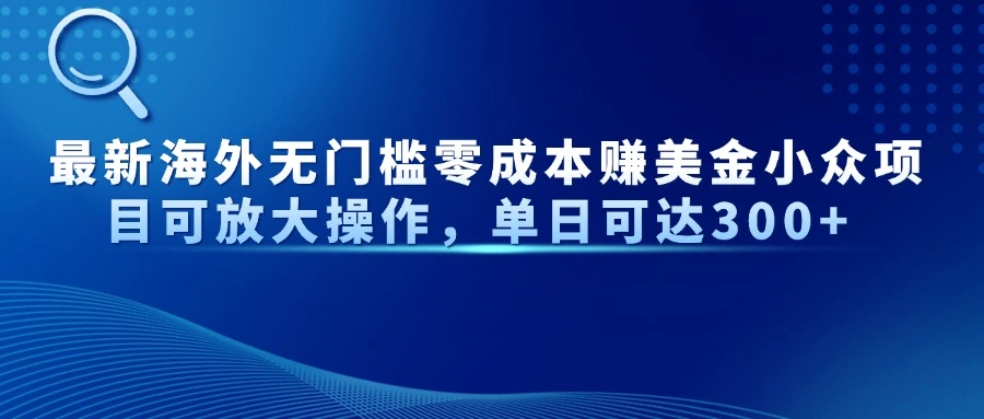 最新海外无门槛零成本赚美金小众项目可放大操作，单日可达300+ - 福利组