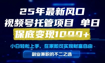 25年最新风口，视频号托管项目，单日保底变现1k+，手把手教学【揭秘】 - 福利组
