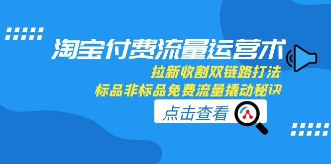 淘宝付费流量运营术，拉新收割双链路打法，标品非标品免费流量撬动秘诀 - 福利组