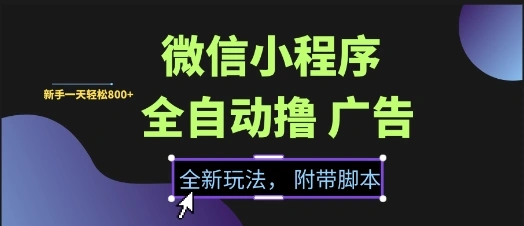 微信小程序全自动撸广告项目，彻底解决没流量的问题，新手一天8张+【揭秘】 - 福利组