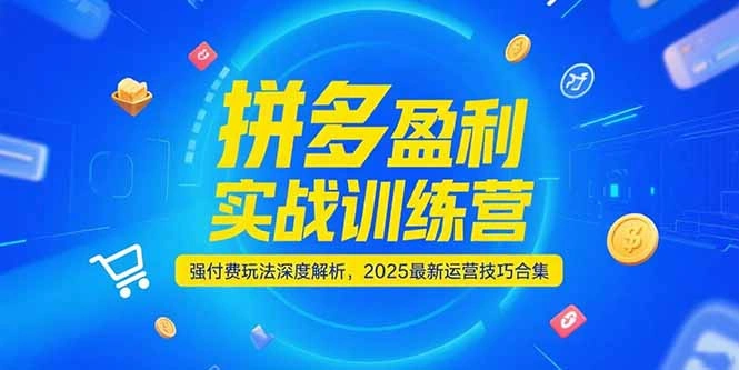 拼多多盈利实战训练营，强付费玩法深度解析，2025运营技巧合集-更新6月- 福利组