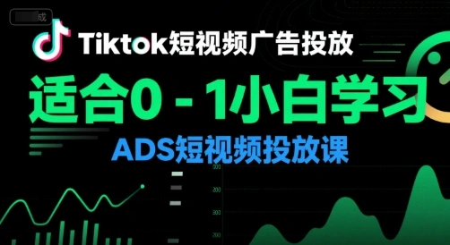 Tiktok短视频广告投放，适合0-1小白学习ADS短视频投放课- 福利组