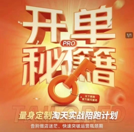 淘宝开单秘籍PRO，量身定制淘天实战陪跑计划，告别做店迷茫、快速突破运营瓶颈期(更新6月) - 福利组