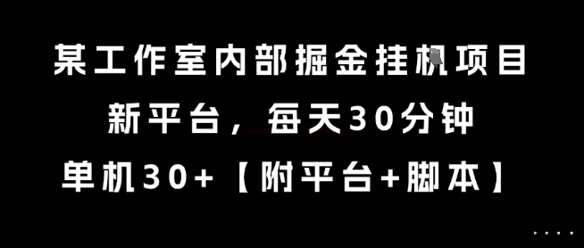 某工作室内部掘金挂G项目，新平台，每天30分钟，单机30+【揭秘】 - 福利组