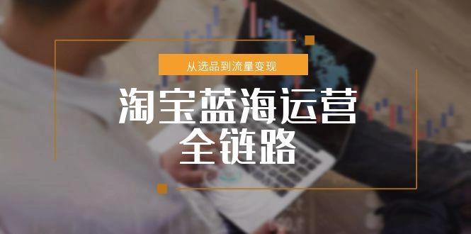 淘宝蓝海运营全链路，从选品到流量变现，小类目突围完整方案 - 福利组