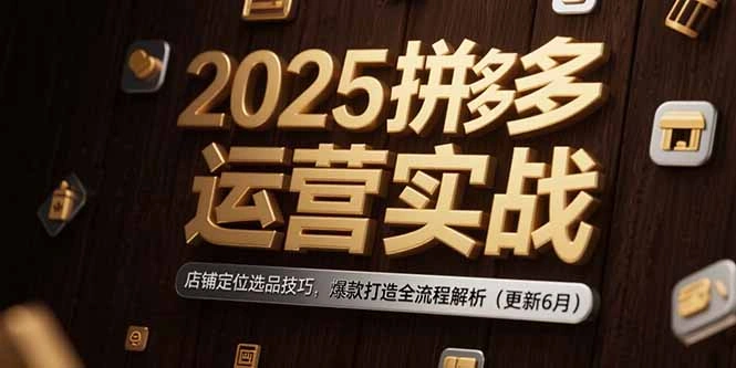 2025拼多多运营实战：店铺定位选品技巧，爆款打造全流程解析(更新6月- 福利组