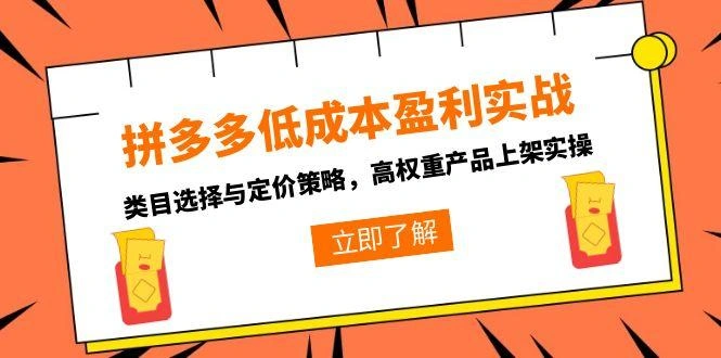 拼多多低成本盈利实战，类目选择与定价策略，高权重产品上架实操- 福利组
